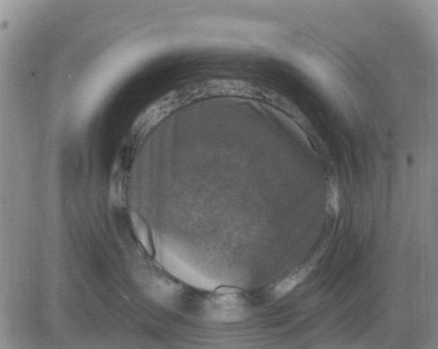 X0000080690431200612301454