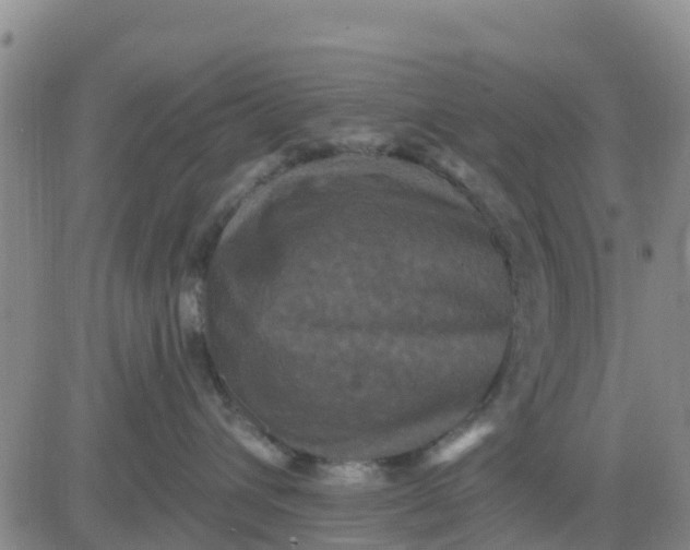 X0000080690432200612301454