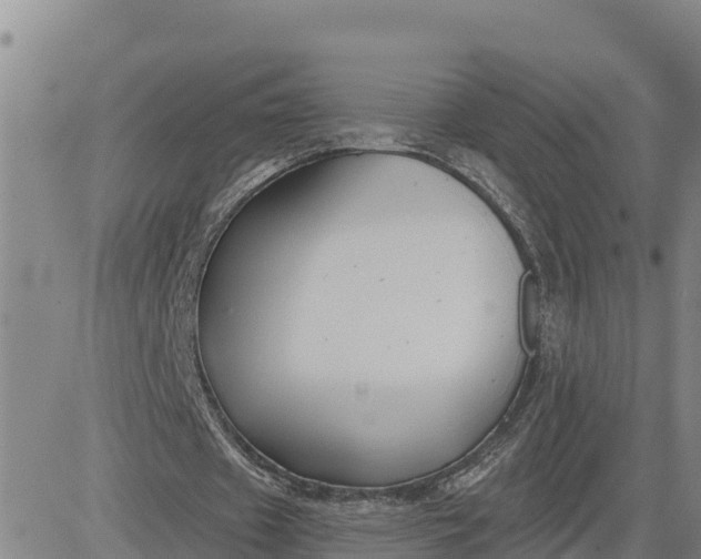 X0000080690433200612301453