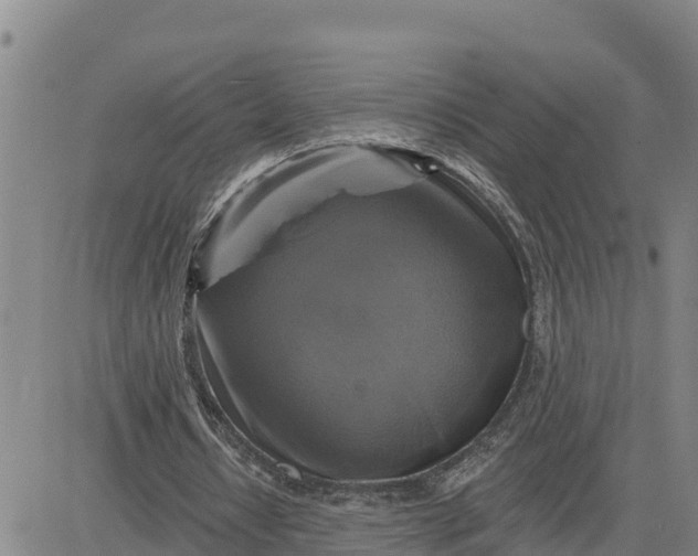 X0000080690434200612301453