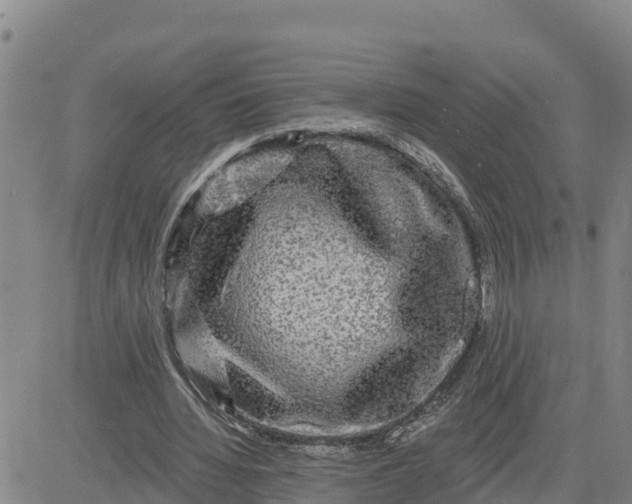 X0000080690436200612301453