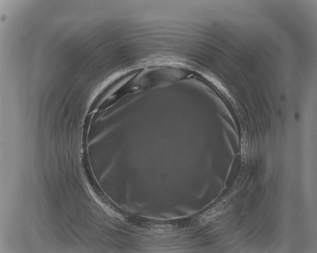 X0000080690438200612301453