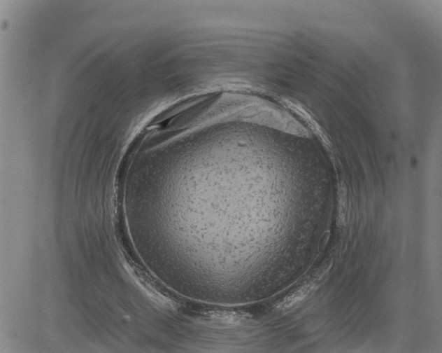 X0000080690439200612301453