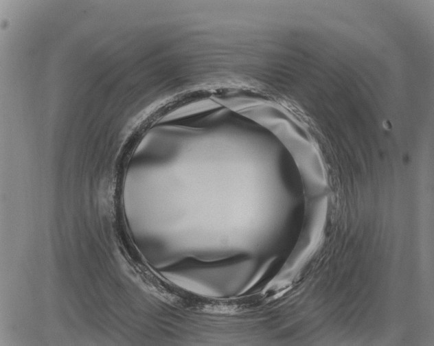 X0000080690440200612301453