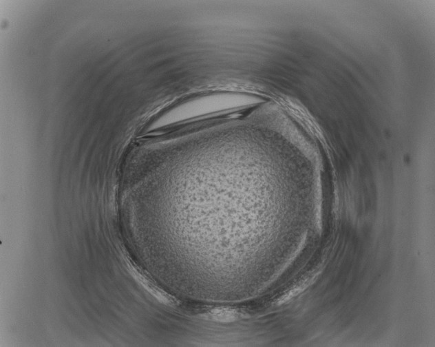 X0000080690441200612301453