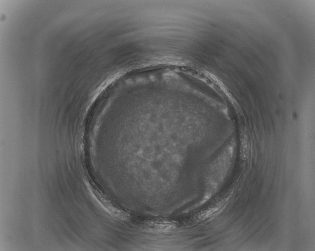 X0000080690443200612301453