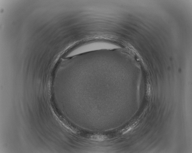 X0000080690444200612301453