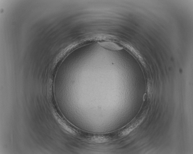 X0000080690445200612301453