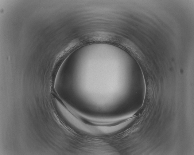 X0000080690446200612301453