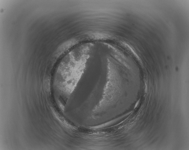 X0000080690447200612301453