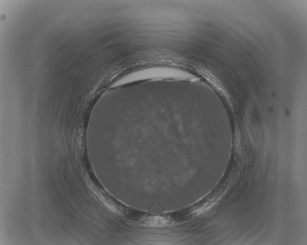 X0000080690449200612301453