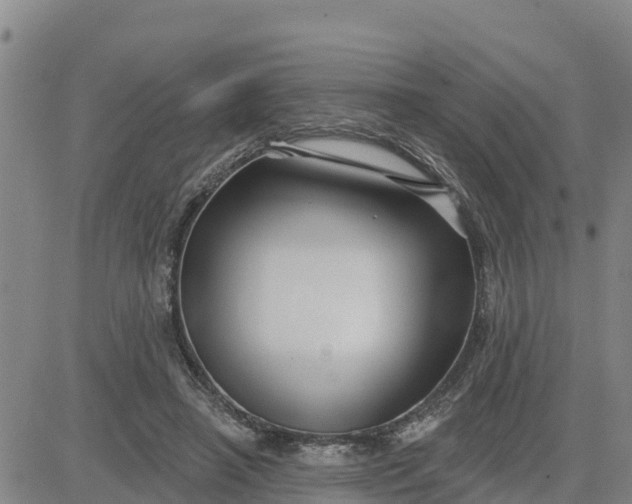 X0000080690450200612301453