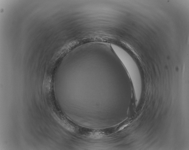 X0000080690451200612301453