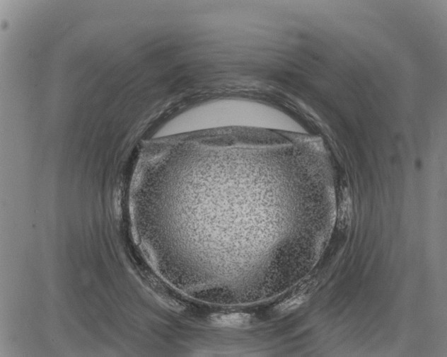 X0000080690452200612301453