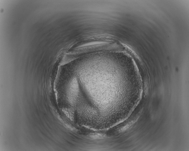 X0000080690453200612301453