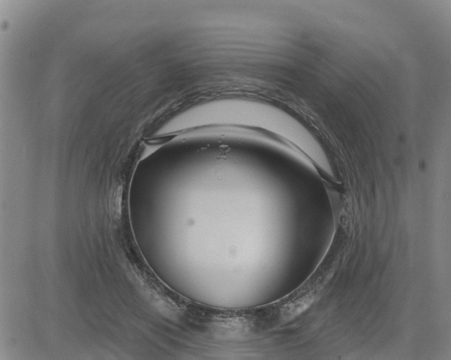 X0000080690454200612301453