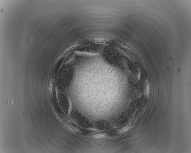 X0000080690456200612301453