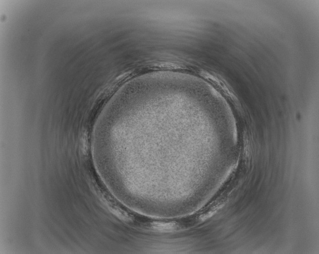 X0000080690457200612301453