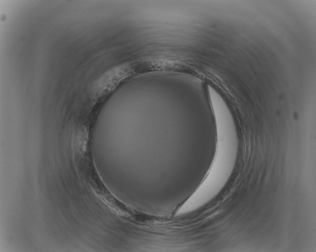 X0000080690458200612301454