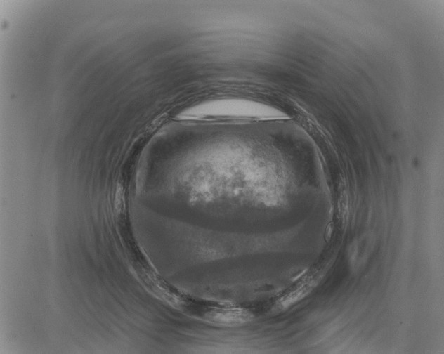 X0000080690459200612301454