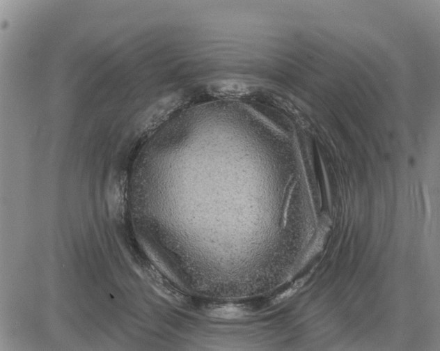 X0000080690460200612301454