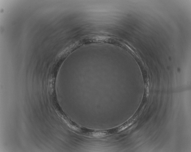 X0000080690462200612301454