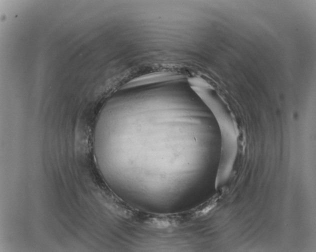 X0000080690464200612301454