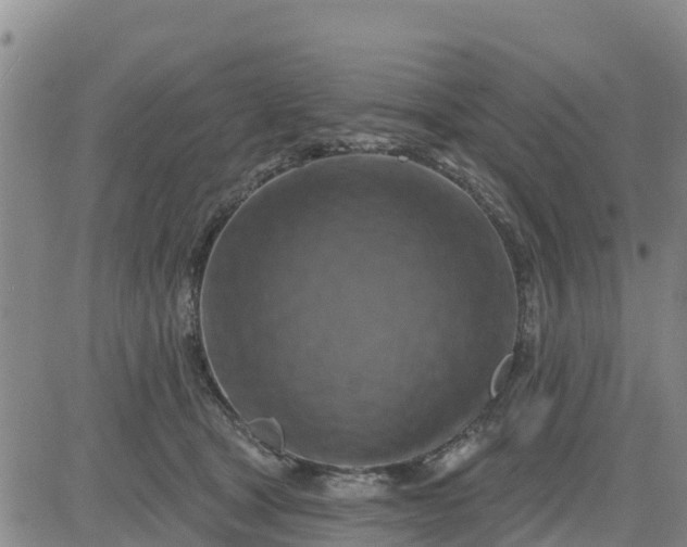 X0000080690465200612301454