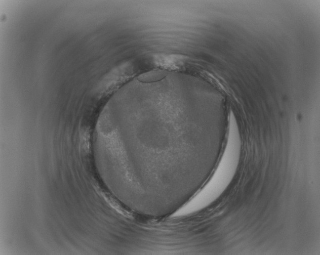 X0000080690466200612301454