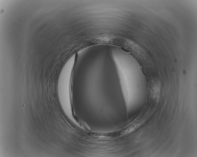 X0000080690467200612301454