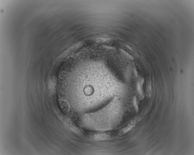 X0000080690468200612301454