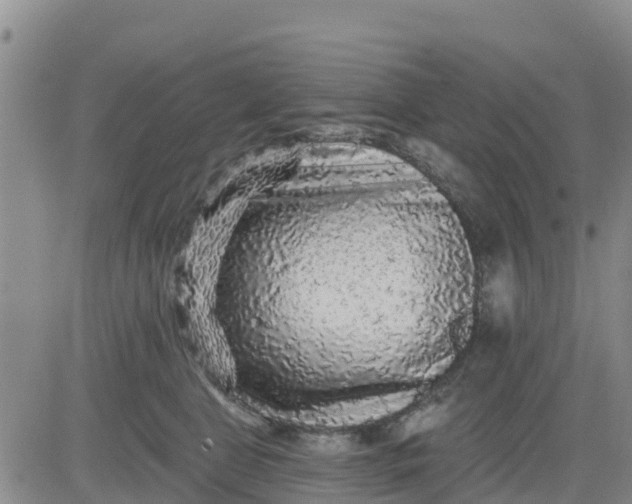 X0000080690469200612301454