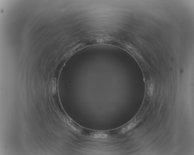 X0000080690471200612301454