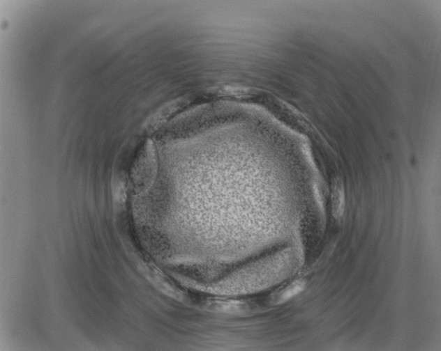 X0000080690472200612301454