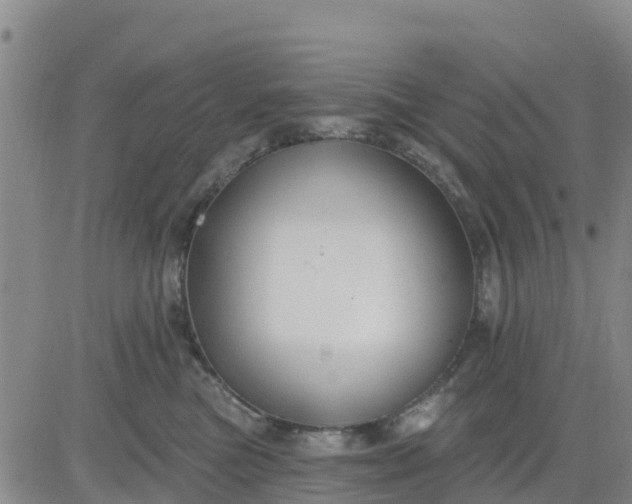 X0000080690473200612301454