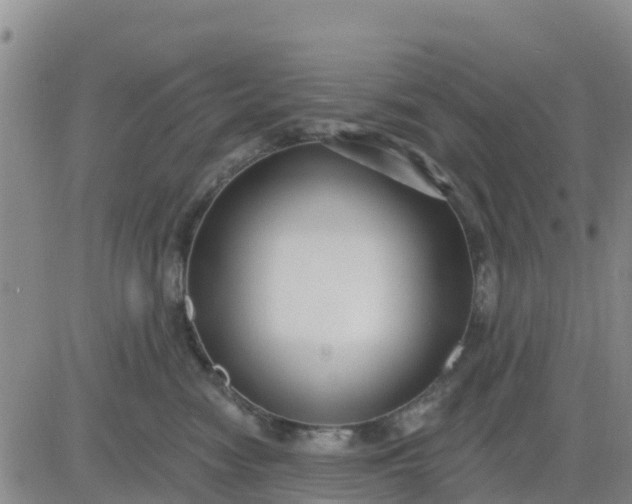 X0000080690474200612301454