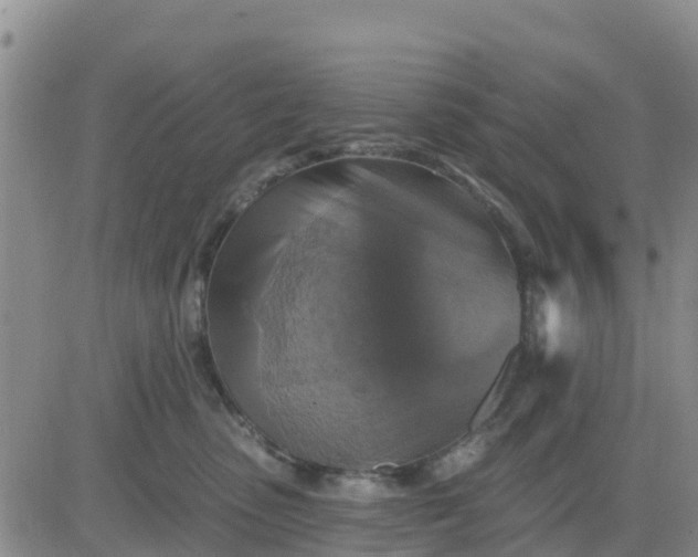 X0000080690475200612301454