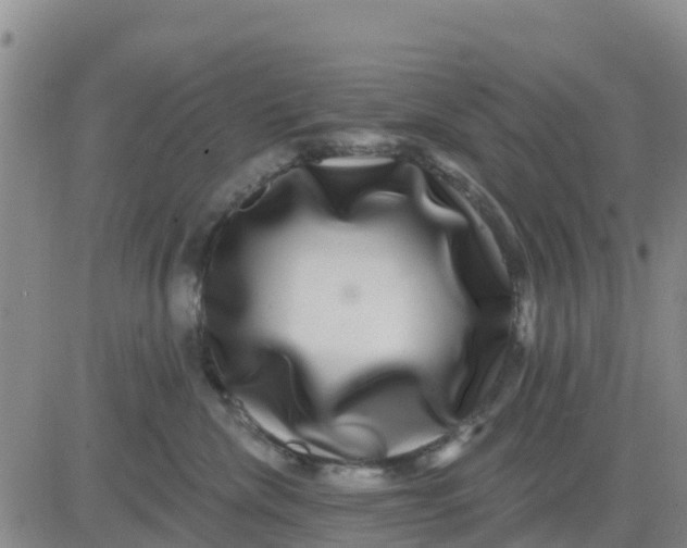 X0000080690476200612301454