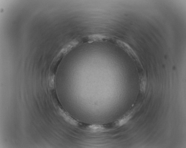 X0000080690477200612301454