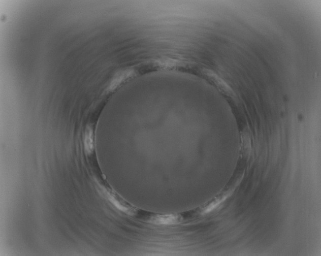 X0000080690479200612301454