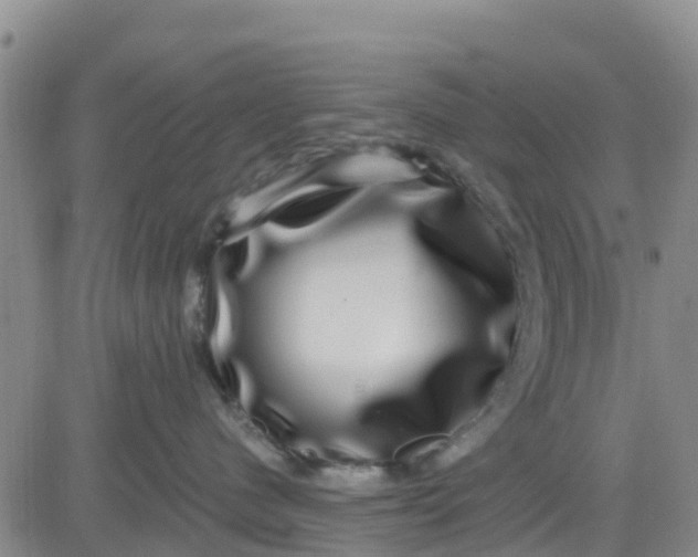 X0000080690480200612301454