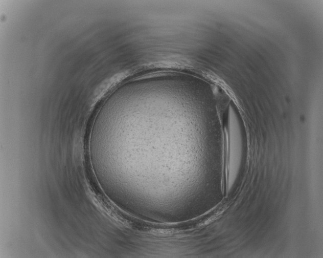 X0000080690482200612301453