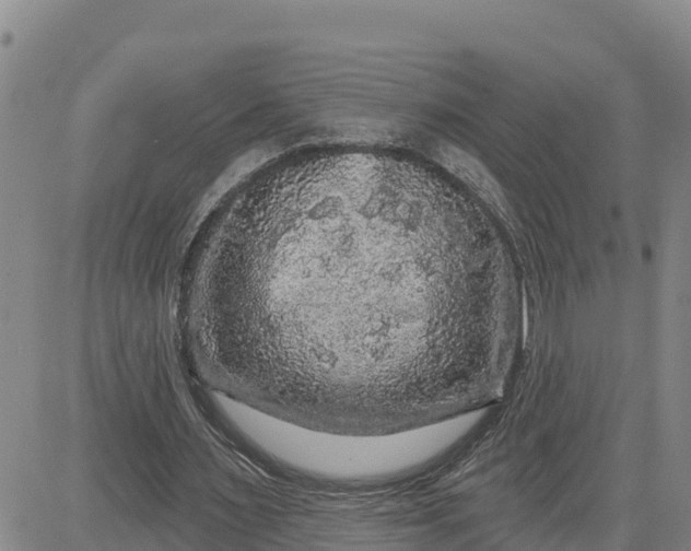 X0000080690483200612301453