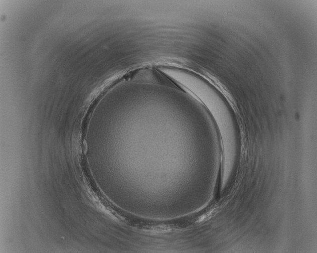 X0000080690485200612301453