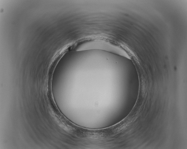 X0000080690486200612301453