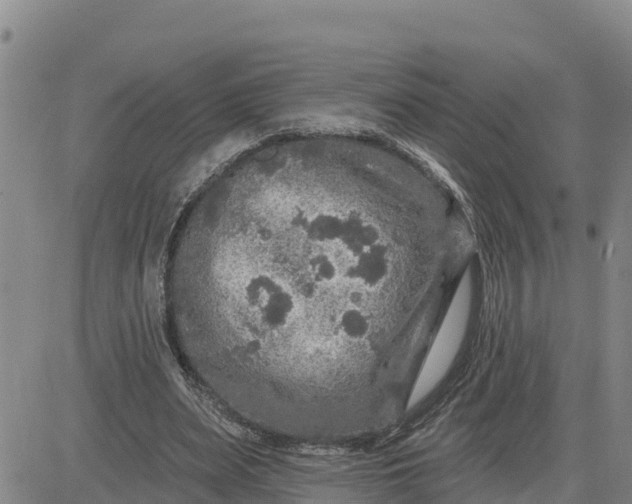 X0000080690487200612301453