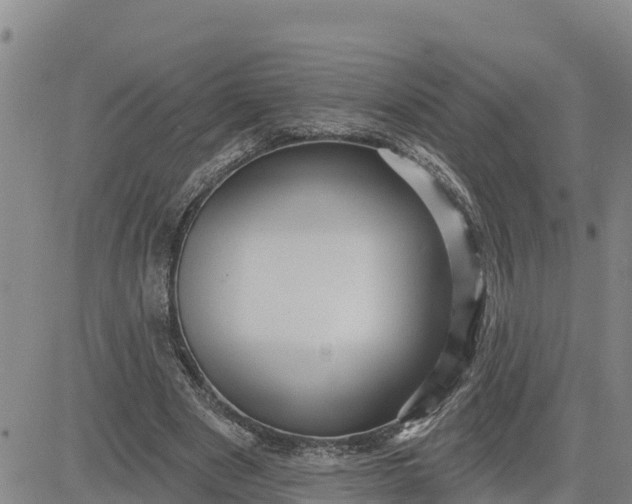 X0000080690489200612301453