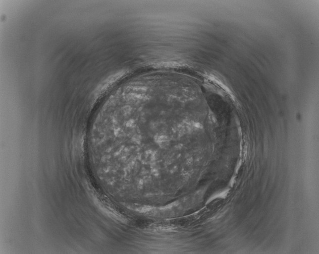 X0000080690491200612301453