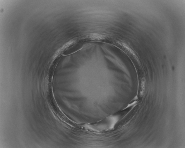 X0000080690492200612301453