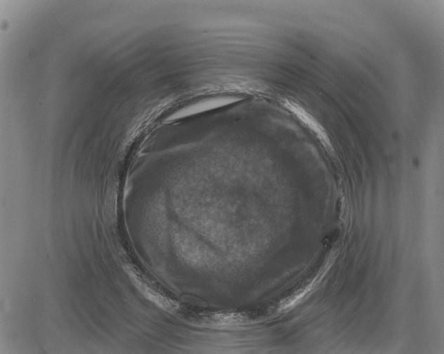 X0000080690493200612301453